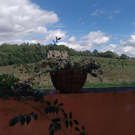 Podere Cerciano Radicondoli