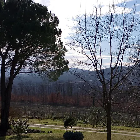 Podere Cerciano Country house