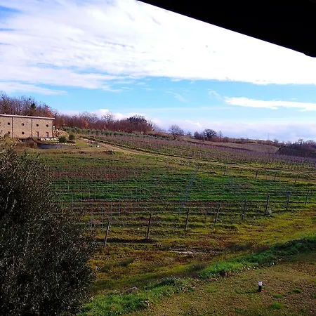 Podere Cerciano *