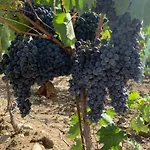 منزل ريفي Podere Cerciano *