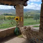 Podere Cerciano *