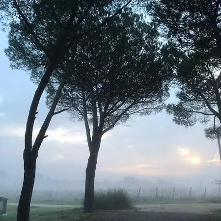 Landsted Podere Cerciano