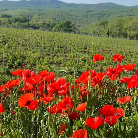 Podere Cerciano Lantställe *