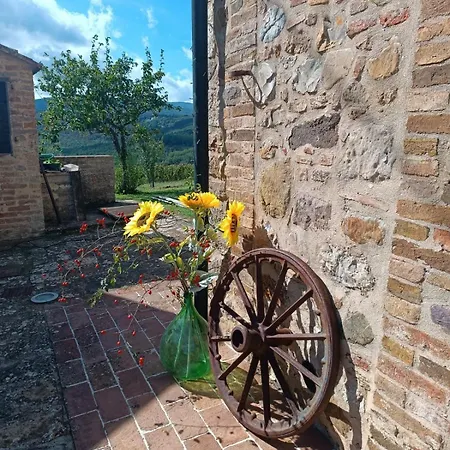 Podere Cerciano Lantställe *