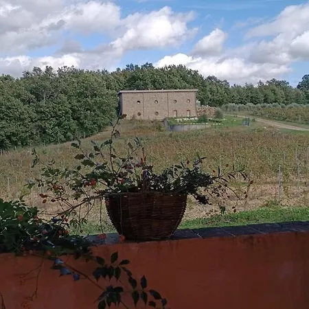 Landsted Podere Cerciano *