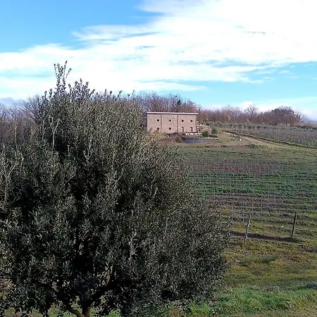 Podere Cerciano Radicondoli