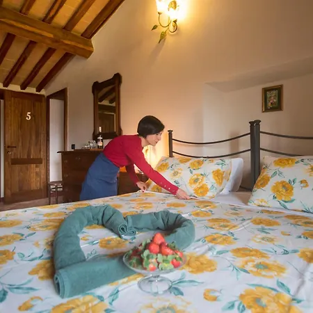 Podere Cerciano Landsted Radicondoli