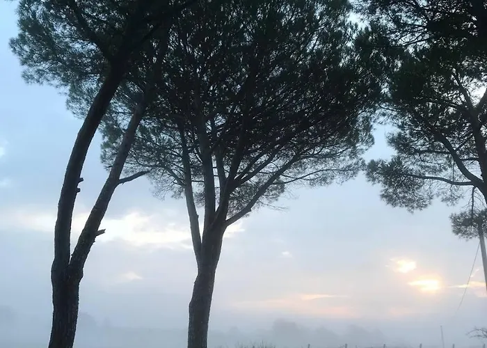 Casa di campagna Podere Cerciano