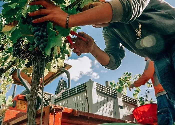 Podere Cerciano Casa di campagna