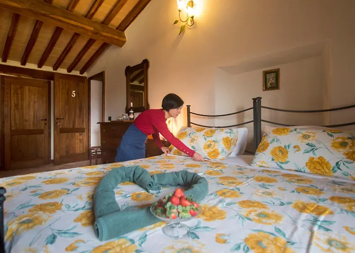 Podere Cerciano Casa di campagna Radicondoli